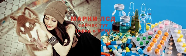 jwh Горняк