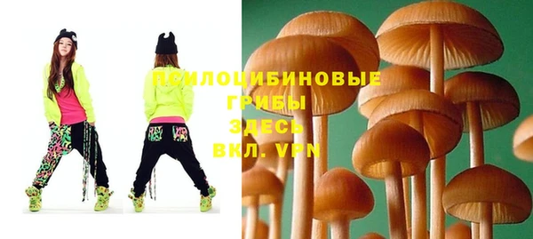 молекула духа Горнозаводск