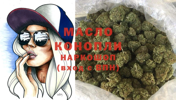 молекула духа Горнозаводск