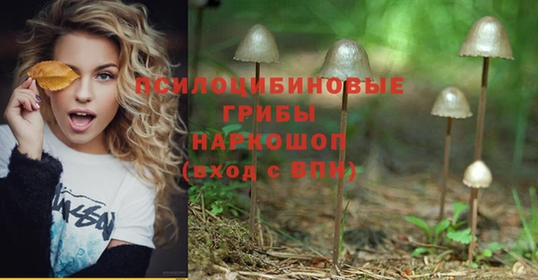 jwh Горняк